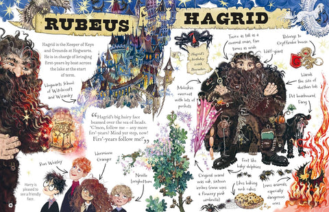 Pocket Potters: Hagrid - MPHOnline.com