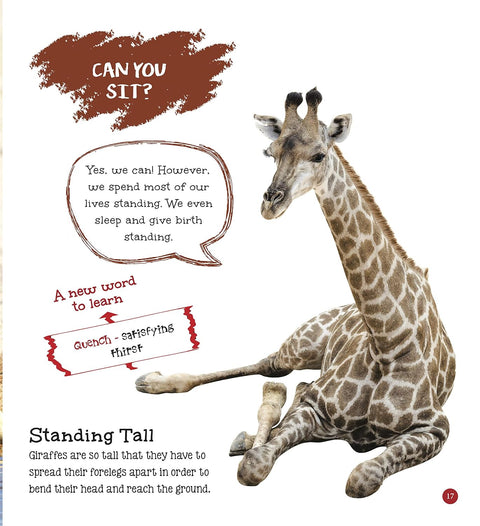 Om: It's Me... a Giraffe - MPHOnline.com
