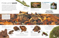 DK Eyewitness: Amphibian - MPHOnline.com