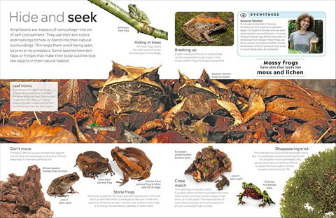 DK Eyewitness: Amphibian - MPHOnline.com