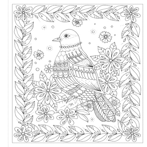 Zendoodle Colorscapes: Garden Beauties - MPHOnline.com