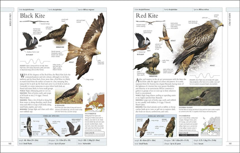 RSPB Complete Birds of Britain and Europe - MPHOnline.com