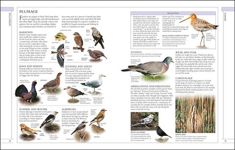 RSPB Complete Birds of Britain and Europe - MPHOnline.com