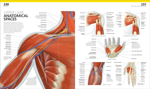 The Complete Human Body (3rd Edition) - MPHOnline.com