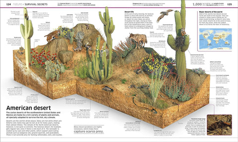 Knowledge Encyclopedia: The World as You've Never Seen It Before (Knowledge Encyclopedias) - MPHOnline.com