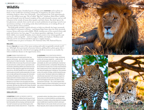 Rough Guide Kenya, 12th Edition - MPHOnline.com