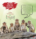 Om: It's Me... a Monkey - MPHOnline.com