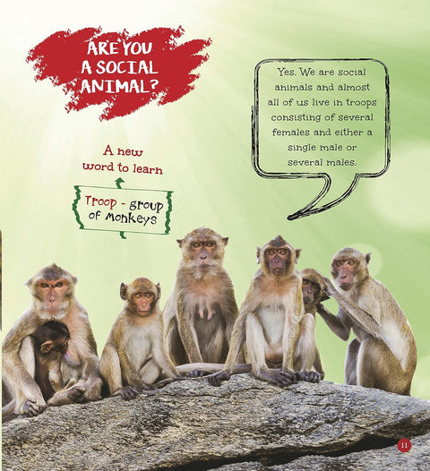Om: It's Me... a Monkey - MPHOnline.com