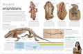 DK Eyewitness: Amphibian - MPHOnline.com