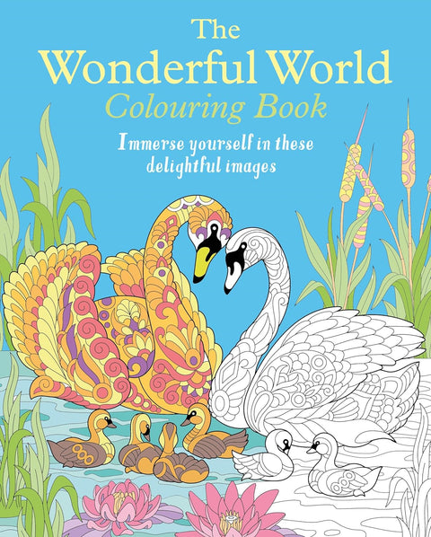 Wonderful World Colouring Book - MPHOnline.com