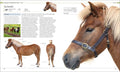 The Horse Encyclopedia - MPHOnline.com