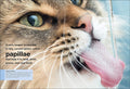 Pocket Eyewitness Cats : Facts at Your Fingertips - MPHOnline.com