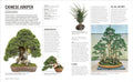 Grow Bonsai - MPHOnline.com