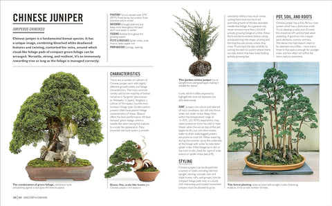 Grow Bonsai - MPHOnline.com