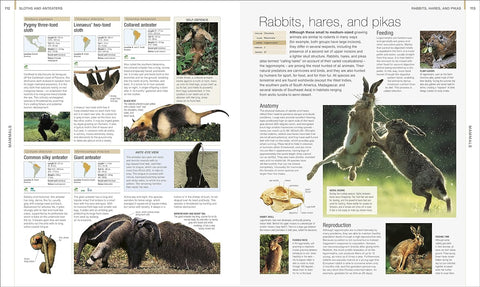 Animal: The Definitive Visual Guide  (4th Edition) - MPHOnline.com