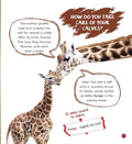Om: It's Me... a Giraffe - MPHOnline.com
