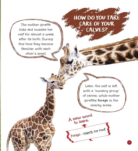 Om: It's Me... a Giraffe - MPHOnline.com