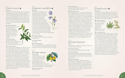 The Complete Language of Herbs: A Definitive and Illustrated History - Pocket Edition - MPHOnline.com