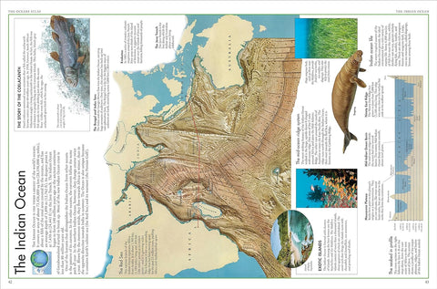 The Oceans Atlas: A Pictorial Guide to the World's Waters - MPHOnline.com