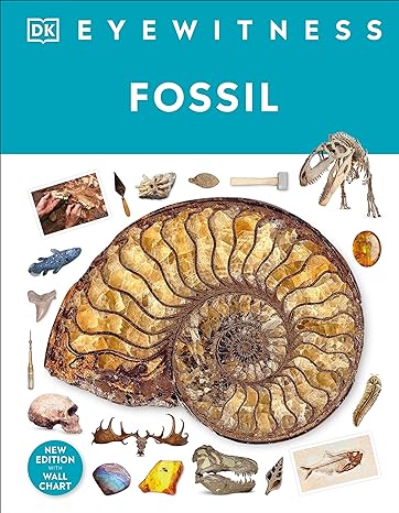 DK Eyewitness Fossil (New Edition) - MPHOnline.com