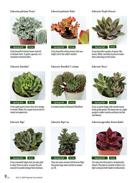 Growing Succulents: A Pictorial Guide (Over 1,500 photos and 700 plants) - MPHOnline.com