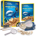 NAT GEO: Shark Tooth Dig Kit - MPHOnline.com