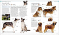 The Dog Encyclopedia: The Definitive Visual Guide - MPHOnline.com