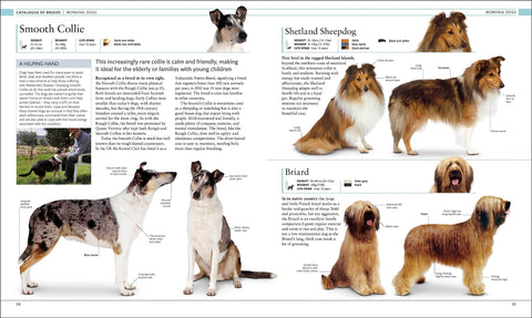 The Dog Encyclopedia: The Definitive Visual Guide - MPHOnline.com