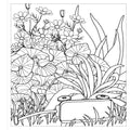 Zendoodle Colorscapes: Garden Beauties - MPHOnline.com