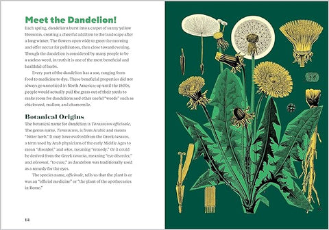 Dandelion Medicine, 2nd Edition: Forage, Feast, and Nourish Yourself with This Extraordinary Weed - MPHOnline.com