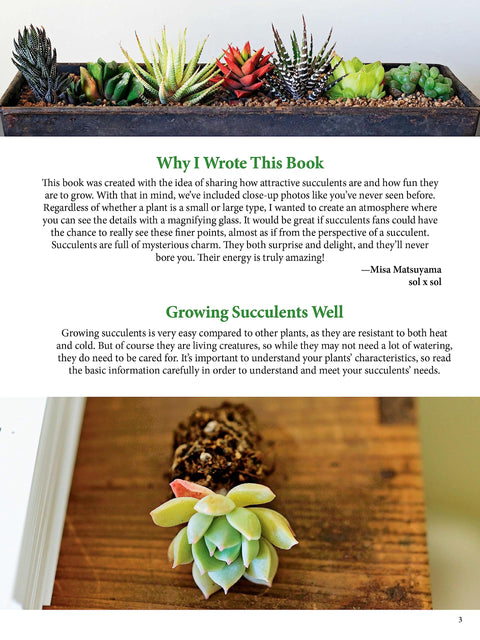 A Field Guide to Succulents: Colors, Shapes and Characteristics for Over 200 Amazing Varieties - MPHOnline.com