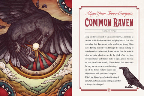 The Illustrated Bestiary: Guidance and Rituals from 36 Inspiring Animals - MPHOnline.com