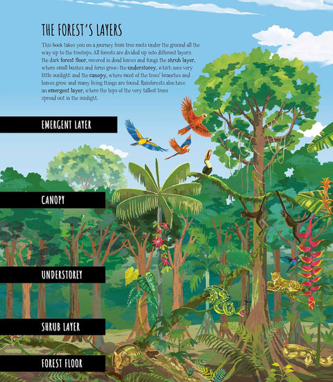The Forest That Grows Around Me (HC) - MPHOnline.com