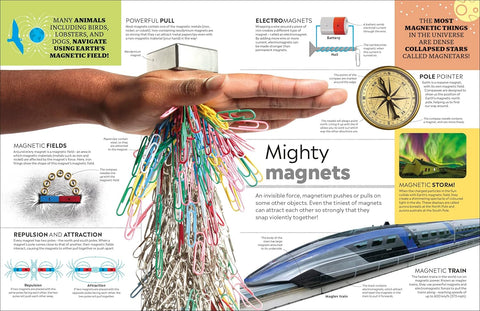 DK Eyewitness Encyclopedia of Everything: The Ultimate Guide to the World Around You - MPHOnline.com