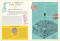 Continental Drift: The Evolution of Our World from the Origins of Life to the Far Future (Blueprint Editions) - MPHOnline.com