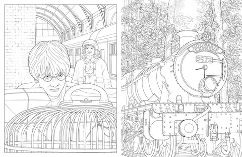 Harry Potter: Travels Through the Wizarding World: An Official Coloring Book - MPHOnline.com