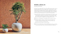 The Little Book of Bonsai - MPHOnline.com