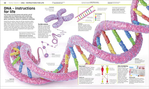 Knowledge Encyclopedia Human Body! - MPHOnline.com