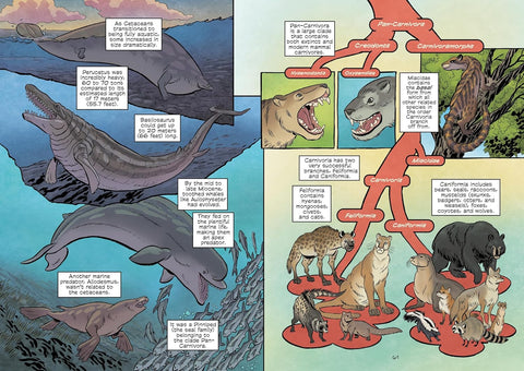 Science Comics: Prehistoric Mammals - MPHOnline.com