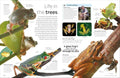 DK Eyewitness: Amphibian - MPHOnline.com