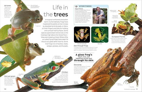 DK Eyewitness: Amphibian - MPHOnline.com
