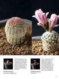 A Field Guide to Succulents: Colors, Shapes and Characteristics for Over 200 Amazing Varieties - MPHOnline.com