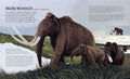 Land of Giants: The Biggest Beasts that Ever Roamed the Earth - MPHOnline.com