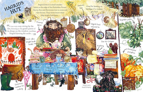 Pocket Potters: Hagrid - MPHOnline.com