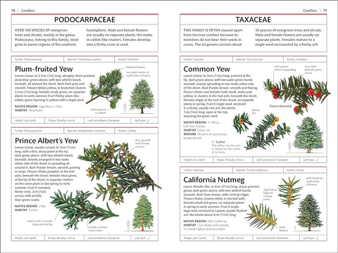 DK Handbooks - Trees - MPHOnline.com