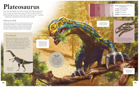 Dinosaurs: A Guide to the Prehistoric World (Sprayed Edge) - MPHOnline.com