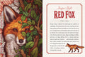 The Illustrated Bestiary: Guidance and Rituals from 36 Inspiring Animals - MPHOnline.com