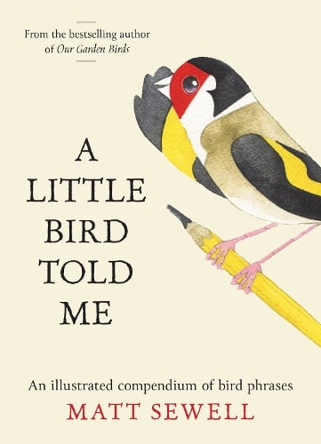 A Little Bird Told Me - MPHOnline.com