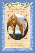 CHARMING CLASSICS BOX SET - MPHOnline.com