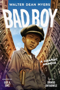 Bad Boy: A Graphic Memoir - MPHOnline.com